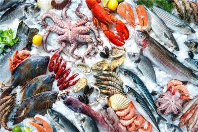 泡沫箱廠家案例-海鮮儲存運輸